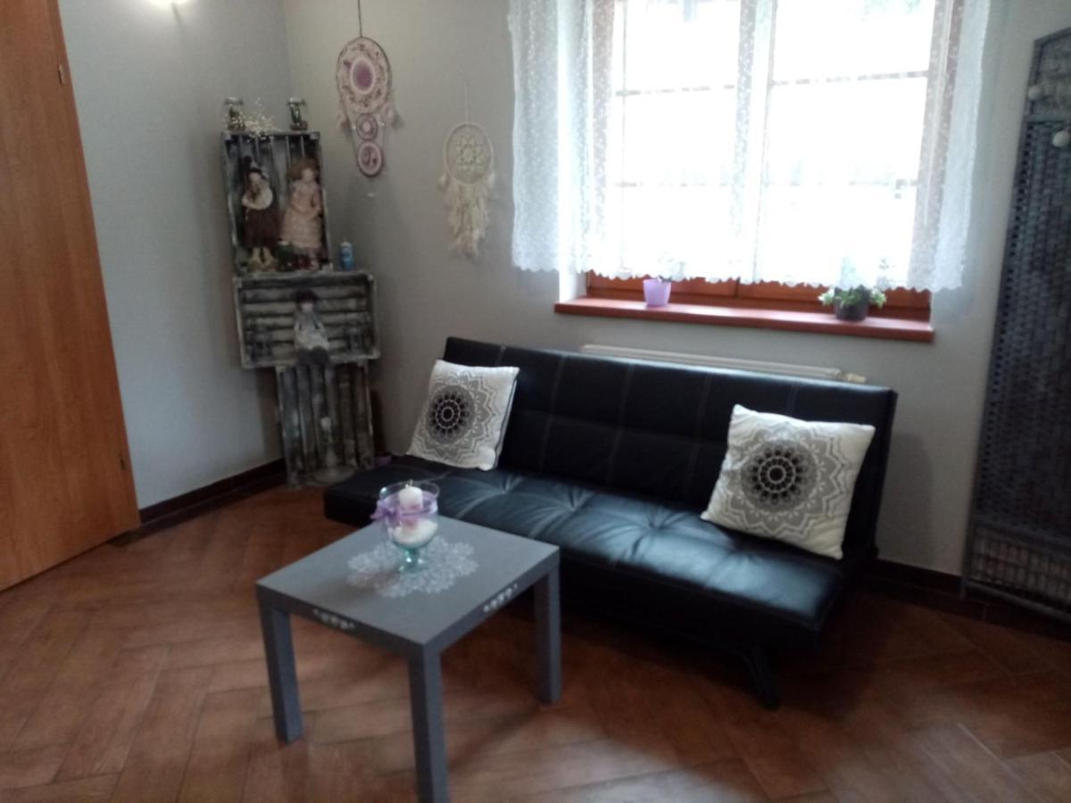 Pensjonat Trans Szklarska Poręba Buitenkant foto